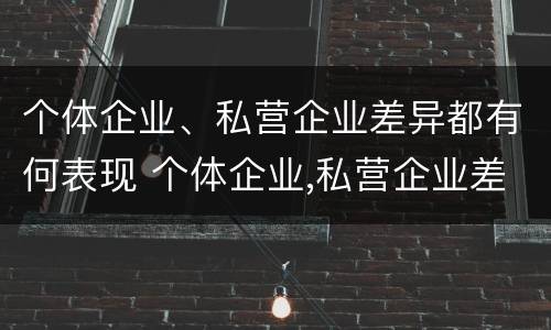个体企业、私营企业差异都有何表现 个体企业,私营企业差异都有何表现和特点