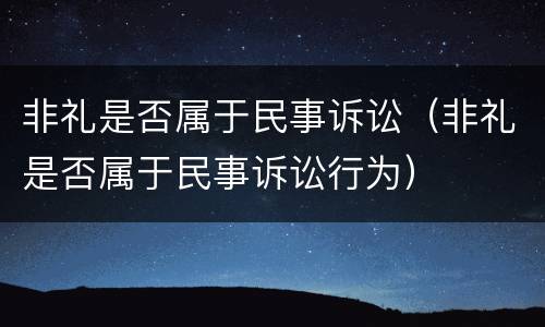 非礼是否属于民事诉讼（非礼是否属于民事诉讼行为）