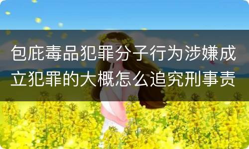 包庇毒品犯罪分子行为涉嫌成立犯罪的大概怎么追究刑事责任