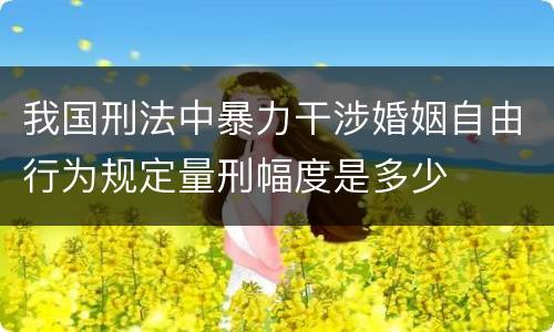 我国刑法中暴力干涉婚姻自由行为规定量刑幅度是多少