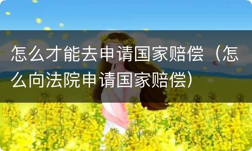 怎么才能去申请国家赔偿（怎么向法院申请国家赔偿）