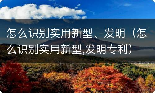 怎么识别实用新型、发明（怎么识别实用新型,发明专利）
