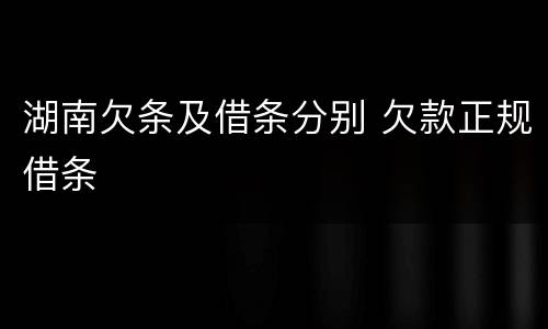 湖南欠条及借条分别 欠款正规借条