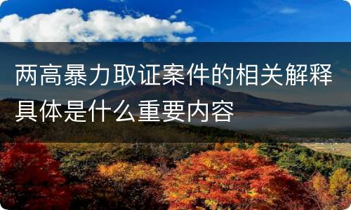 两高暴力取证案件的相关解释具体是什么重要内容