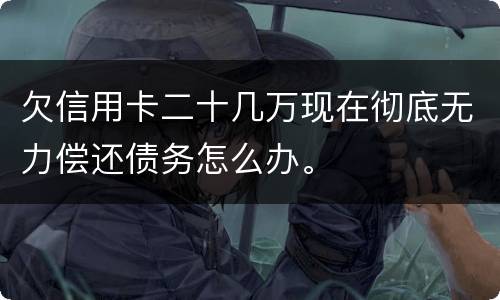 欠信用卡二十几万现在彻底无力偿还债务怎么办。