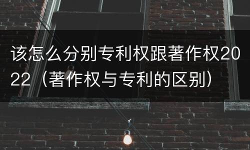 该怎么分别专利权跟著作权2022（著作权与专利的区别）