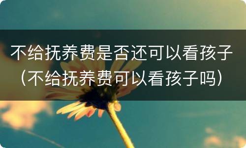 不给抚养费是否还可以看孩子（不给抚养费可以看孩子吗）