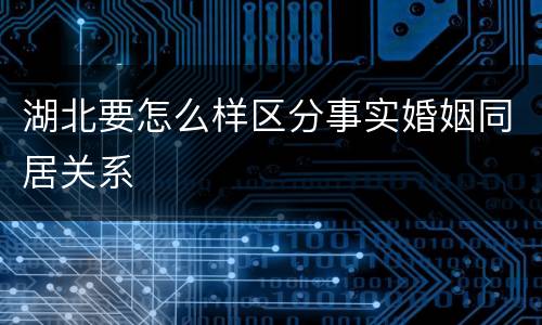 湖北要怎么样区分事实婚姻同居关系