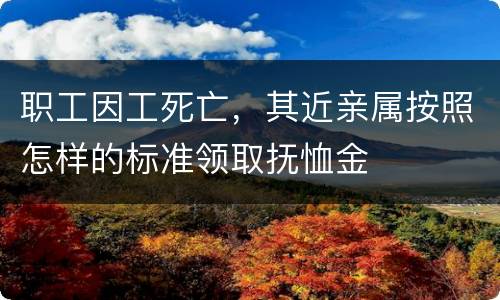 职工因工死亡，其近亲属按照怎样的标准领取抚恤金