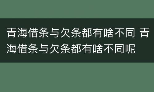 青海借条与欠条都有啥不同 青海借条与欠条都有啥不同呢