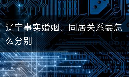 辽宁事实婚姻、同居关系要怎么分别