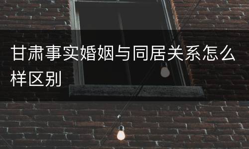甘肃事实婚姻与同居关系怎么样区别