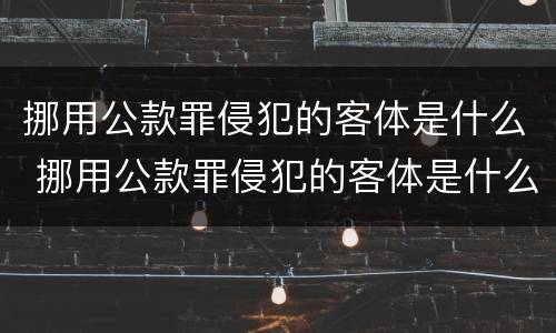 挪用公款罪侵犯的客体是什么 挪用公款罪侵犯的客体是什么行为