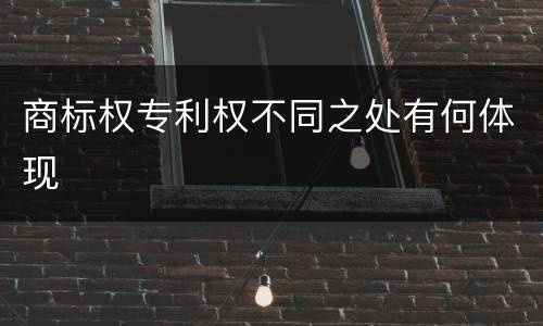 商标权专利权不同之处有何体现