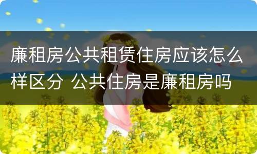廉租房公共租赁住房应该怎么样区分 公共住房是廉租房吗