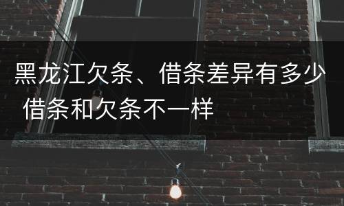 黑龙江欠条、借条差异有多少 借条和欠条不一样