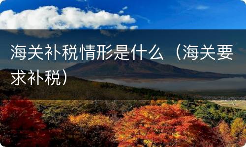 海关补税情形是什么（海关要求补税）