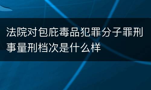 法院对包庇毒品犯罪分子罪刑事量刑档次是什么样
