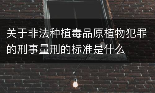 关于非法种植毒品原植物犯罪的刑事量刑的标准是什么