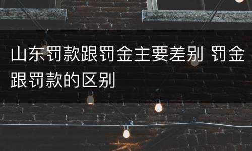 山东罚款跟罚金主要差别 罚金跟罚款的区别