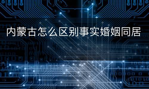 内蒙古怎么区别事实婚姻同居