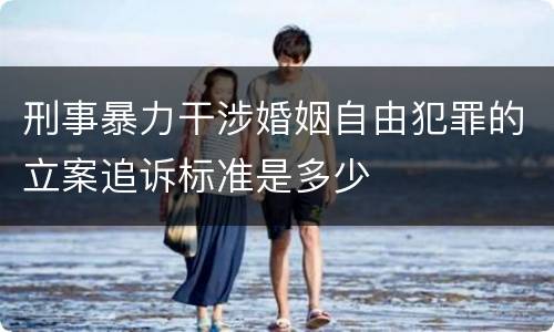 刑事暴力干涉婚姻自由犯罪的立案追诉标准是多少