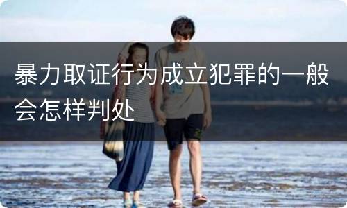 暴力取证行为成立犯罪的一般会怎样判处