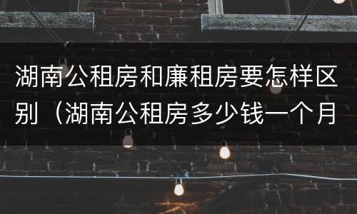 湖南公租房和廉租房要怎样区别（湖南公租房多少钱一个月）