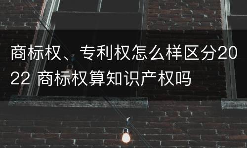 商标权、专利权怎么样区分2022 商标权算知识产权吗