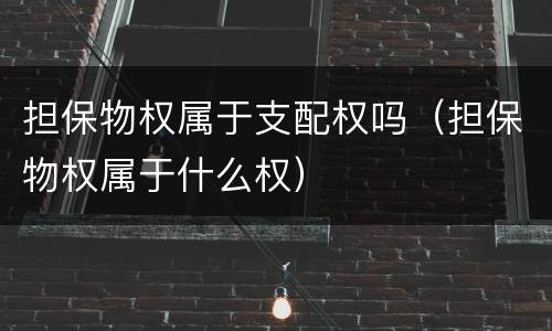 担保物权属于支配权吗（担保物权属于什么权）