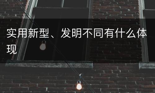 实用新型、发明不同有什么体现