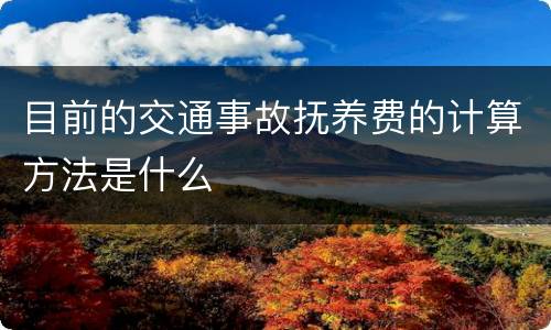 目前的交通事故抚养费的计算方法是什么