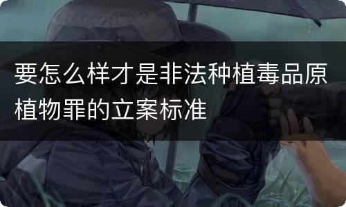要怎么样才是非法种植毒品原植物罪的立案标准