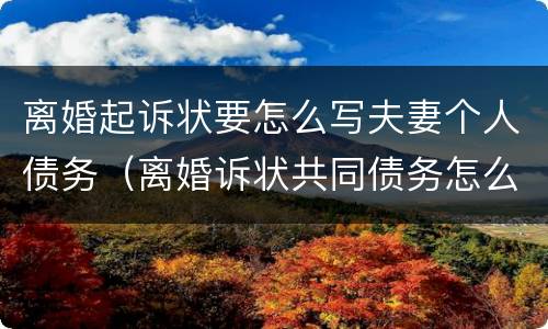 离婚起诉状要怎么写夫妻个人债务（离婚诉状共同债务怎么写）