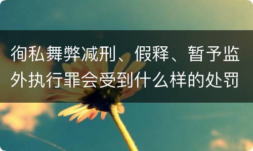 徇私舞弊减刑、假释、暂予监外执行罪会受到什么样的处罚