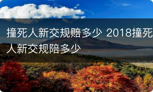 撞死人新交规赔多少 2018撞死人新交规陪多少
