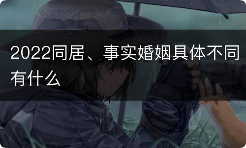 2022同居、事实婚姻具体不同有什么