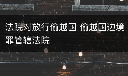 法院对放行偷越国 偷越国边境罪管辖法院