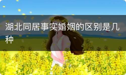 湖北同居事实婚姻的区别是几种