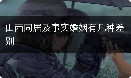 山西同居及事实婚姻有几种差别