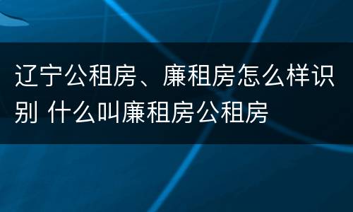 辽宁公租房、廉租房怎么样识别 什么叫廉租房公租房