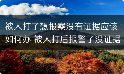 被人打了想报案没有证据应该如何办 被人打后报警了没证据怎么办