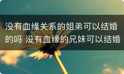 没有血缘关系的姐弟可以结婚的吗 没有血缘的兄妹可以结婚吗