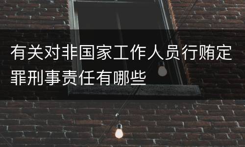 有关对非国家工作人员行贿定罪刑事责任有哪些