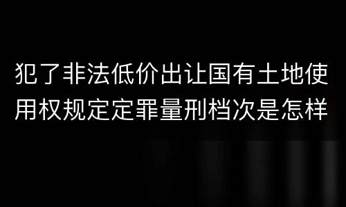 犯了非法低价出让国有土地使用权规定定罪量刑档次是怎样