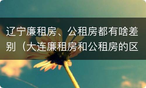 辽宁廉租房、公租房都有啥差别（大连廉租房和公租房的区别）