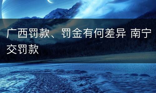 广西罚款、罚金有何差异 南宁交罚款