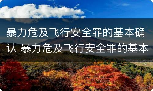 暴力危及飞行安全罪的基本确认 暴力危及飞行安全罪的基本确认标准
