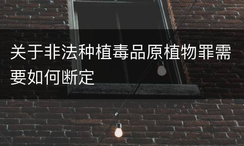 关于非法种植毒品原植物罪需要如何断定