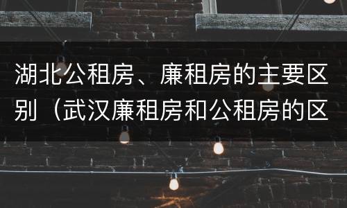 湖北公租房、廉租房的主要区别（武汉廉租房和公租房的区别）